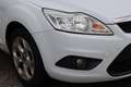 Ford Focus 1.6 Comfort Airco, Elektrische ramen, Lichtmetalen Blanco - thumbnail 12
