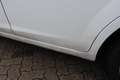 Ford Focus 1.6 Comfort Airco, Elektrische ramen, Lichtmetalen Blanco - thumbnail 19