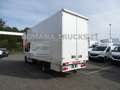 Renault Master 145CV FURGONATURA IN LEGA IMPERIALE IN ARRIVO Bianco - thumbnail 5
