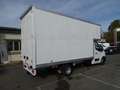 Renault Master 145CV FURGONATURA IN LEGA IMPERIALE IN ARRIVO Bianco - thumbnail 7