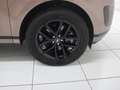 Land Rover Range Rover Evoque D200 S Winter Paket Black Pack Gold - thumbnail 20