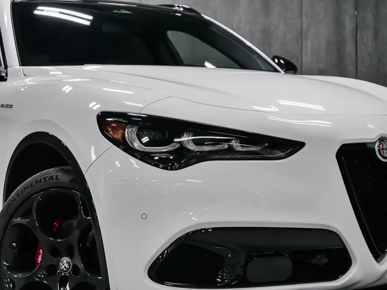 Alfa Romeo Stelvio снимка Alfa Romeo Stelvio