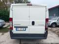 Citroen Jumper bb Bianco - thumbnail 5