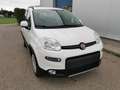 Fiat Panda Rock 4x4 Weiß - thumbnail 4
