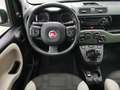 Fiat Panda Rock 4x4 Weiß - thumbnail 15