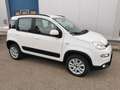 Fiat Panda Rock 4x4 Weiß - thumbnail 6