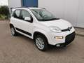 Fiat Panda Rock 4x4 Weiß - thumbnail 5