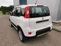 Fiat Panda Rock 4x4 Weiß - thumbnail 7