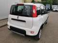 Fiat Panda Rock 4x4 Weiß - thumbnail 11