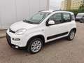 Fiat Panda Rock 4x4 Weiß - thumbnail 3