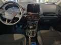 Ford EcoSport EcoSport 1.5 ecoblue Titanium s&s 100cv my19 Gris - thumbnail 10