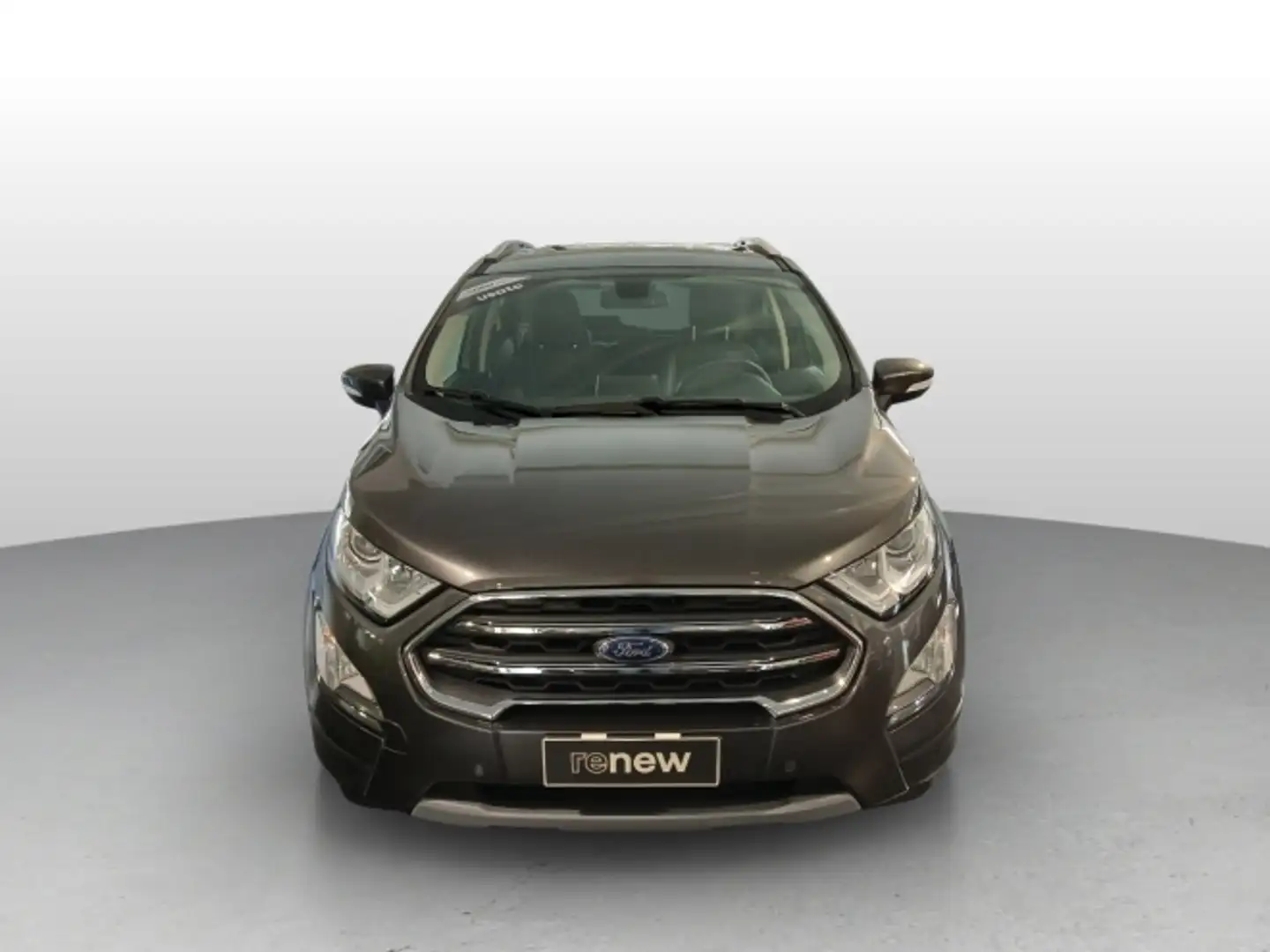 Ford EcoSport EcoSport 1.5 ecoblue Titanium s&s 100cv my19 Gris - 2