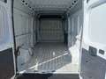 Fiat Ducato 2,2 MJT 140 CV E6D L3 H2 PASSO LUNGO TETTO ALTO Bianco - thumbnail 6