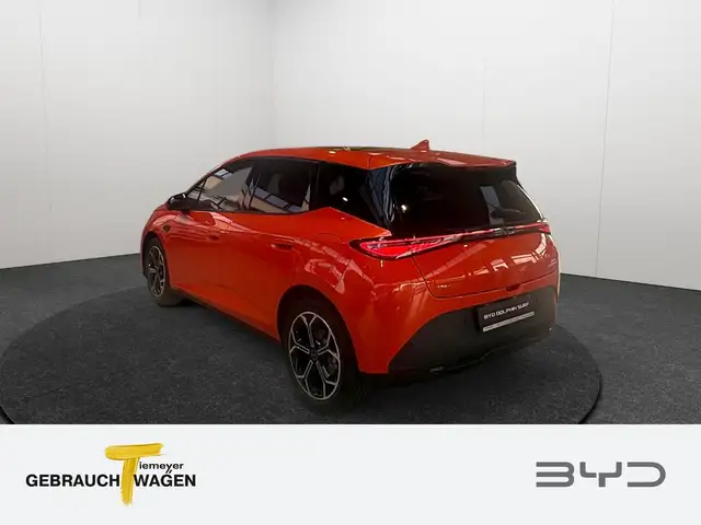 Byd Dolphin view 7