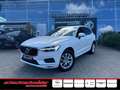 Volvo XC60 B4 B Geartr. Momentum Pro+Leder+IntelliSafePro Wit - thumbnail 1
