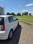 Skoda Citigo Citigo 3p 1.0 Style (elegance) Bianco - thumbnail 5