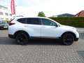 Honda CR-V e:HEV 2.0 i-MMD 4WD Sport Line Bianco - thumbnail 4
