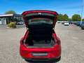 SEAT Leon Xcellence / LED Rot - thumbnail 9
