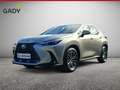 Lexus NX 450h+ 2,5 Hybrid Plug-In 4WD Executive Silber - thumbnail 1