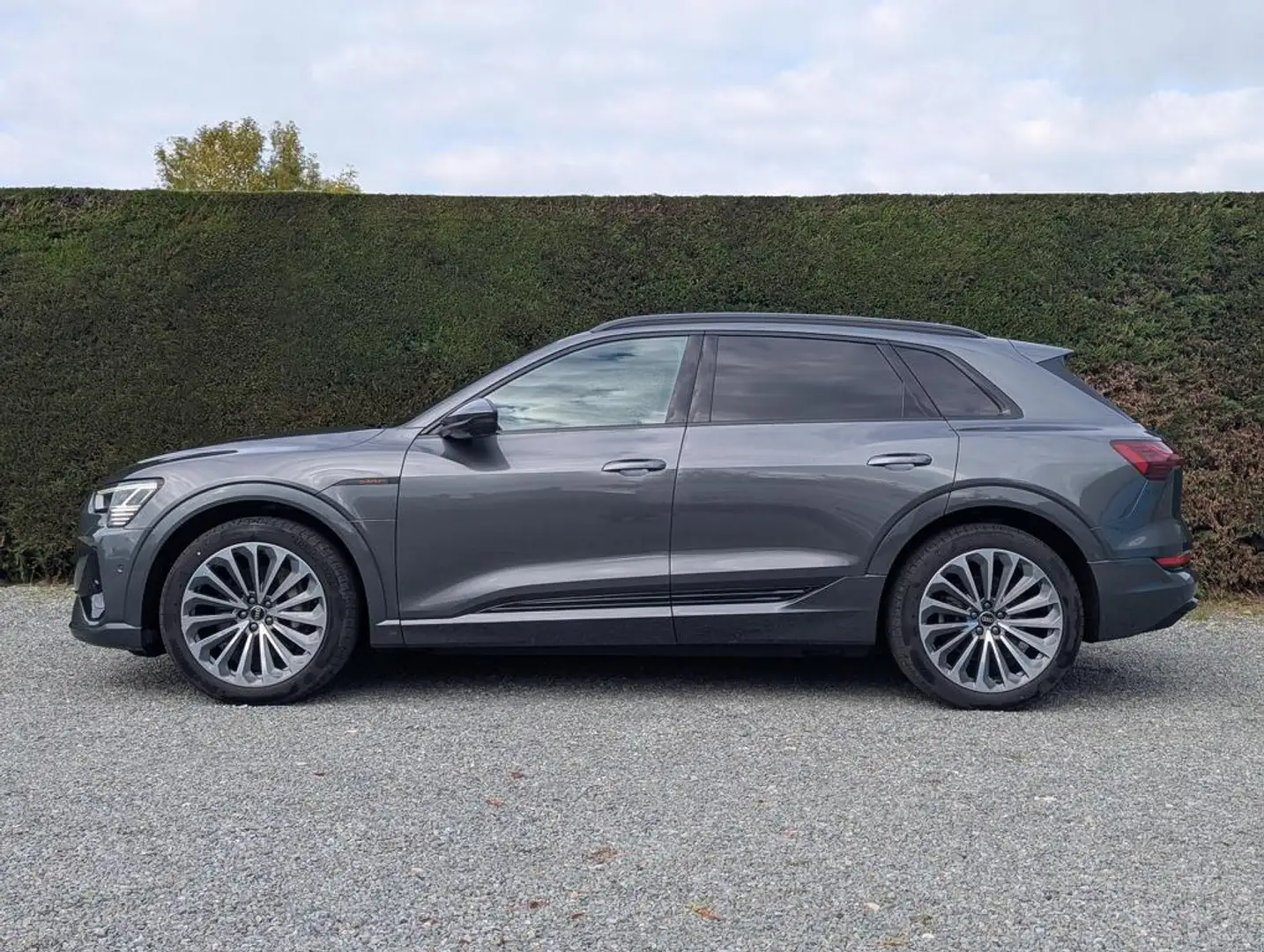 Audi Q8 e-tron (Q8)e-tron - 2x s-line - trekhaak - 360 camera Gris - 2