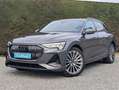 Audi Q8 e-tron (Q8)e-tron - 2x s-line - trekhaak - 360 camera Gris - thumbnail 1