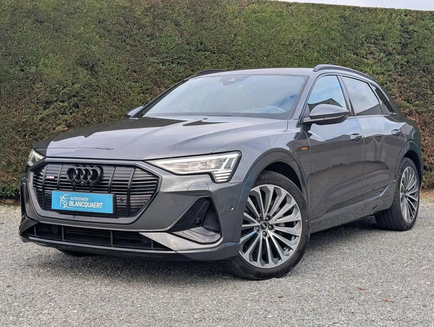 Audi Q8 e-tron (Q8)e-tron - 2x s-line - trekhaak - 360 camera Gris - 1