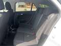Fiat Tipo Kombi Diesel 130 SCR Life Weiß - thumbnail 7