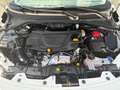 Fiat Tipo Kombi Diesel 130 SCR Life Weiß - thumbnail 15