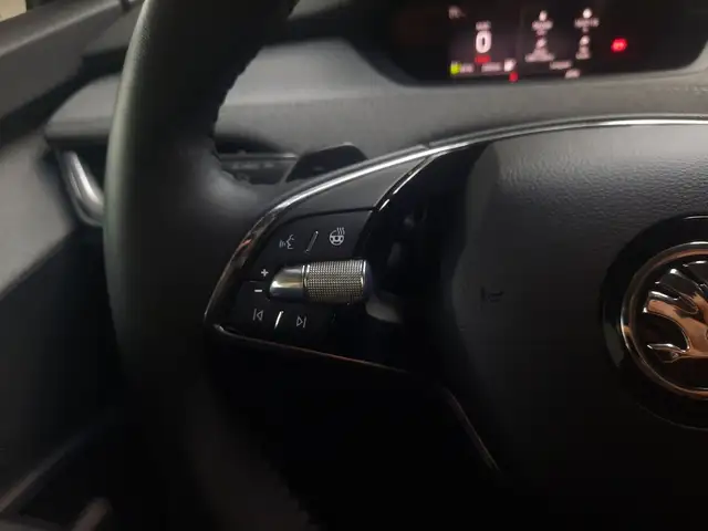 Skoda Enyaq view 20