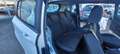 Ford B-Max B-Max 1.5 tdci  X NEOPATENTATI  EURO 6B Bianco - thumbnail 11