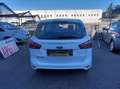 Ford B-Max B-Max 1.5 tdci  X NEOPATENTATI  EURO 6B Bianco - thumbnail 4