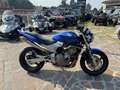Honda Hornet 600 Blue Blu/Azzurro - thumbnail 1