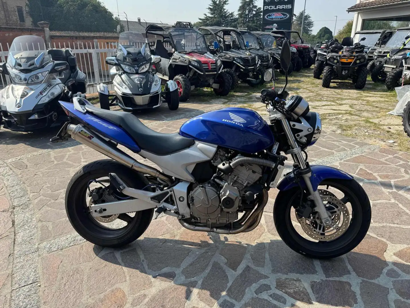 Honda Hornet 600 Blue Blu/Azzurro - 1