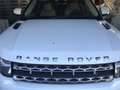 Land Rover Range Rover Evoque Range Rover Evoque Pure 2,2 SD4 Pure Blanc - thumbnail 8