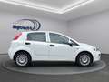Fiat Punto I Klima I PDC I 4Season - thumbnail 11