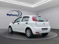 Fiat Punto I Klima I PDC I 4Season - thumbnail 2