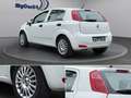 Fiat Punto I Klima I PDC I 4Season - thumbnail 3