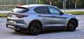 Alfa Romeo Stelvio Stelvio 2020 2.2 t Sprint Q4 190cv auto Gris - thumbnail 13