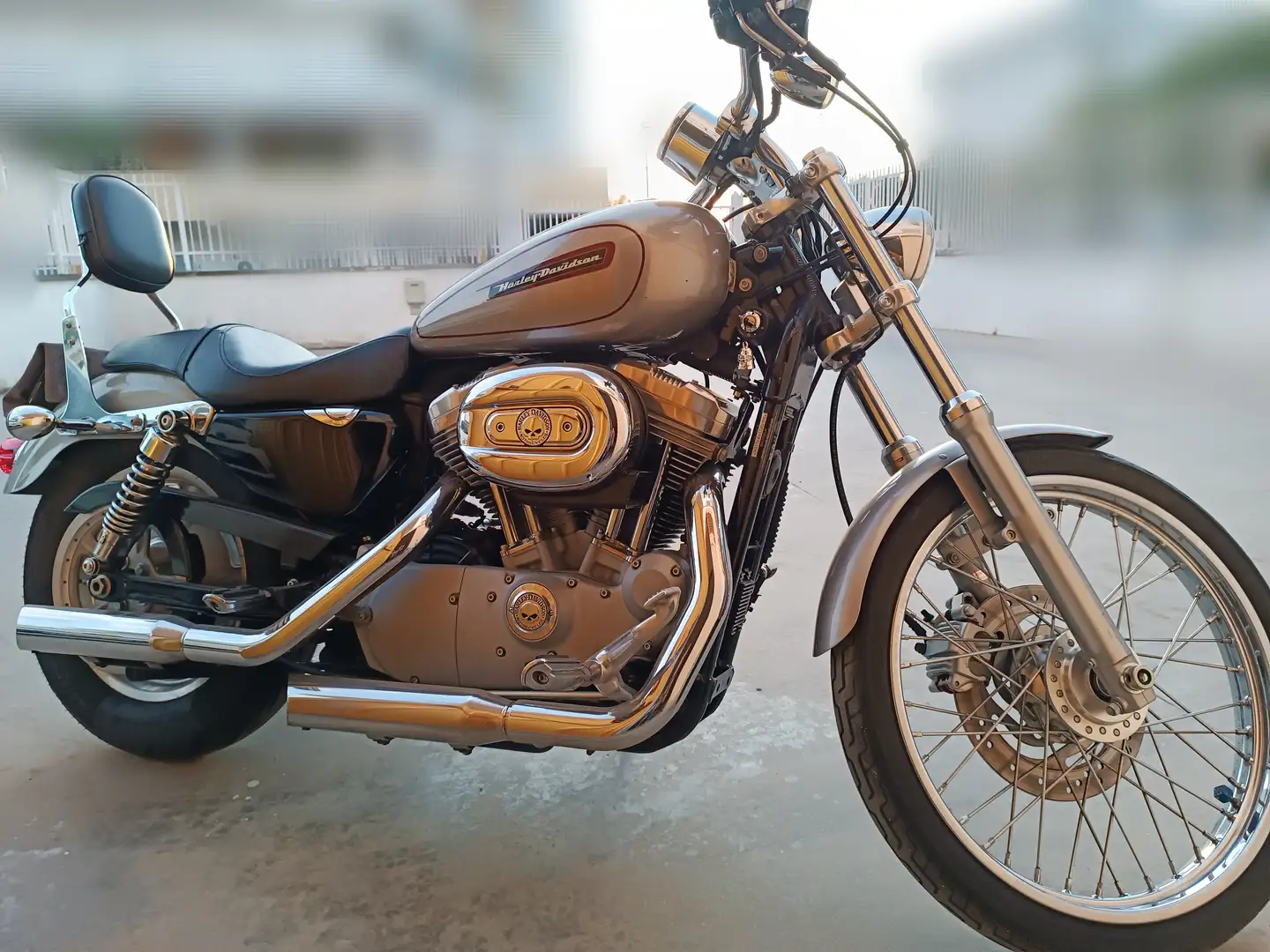 Harley-Davidson Sportster 883 XL custom Gris - 1