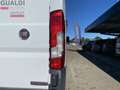 Fiat Ducato Ducato 30 2.3 MJT 130CV PM-TN Furgone Bianco - thumbnail 7