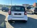 smart forTwo Fortwo III 2020 eq mattrunner 22kW Bianco - thumbnail 5