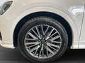 Audi Q3 35 TDI S tronic Identity Black Weiß - thumbnail 16