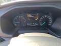 Ford Tourneo Custom Active 320 L2H1 2.0 EB Autom AHK Schwarz - thumbnail 15
