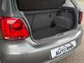 Volkswagen Polo 4FRIENDS 1,6 TDI DPF Grau - thumbnail 20