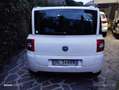 Fiat Multipla 1.9 mjt Dynamic 120cv - thumbnail 9