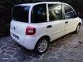 Fiat Multipla 1.9 mjt Dynamic 120cv - thumbnail 11