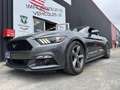 Ford Mustang Convertible V6 3,7L BVA CABRIOLET Grau - thumbnail 2