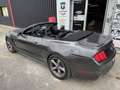 Ford Mustang Convertible V6 3,7L BVA CABRIOLET Grau - thumbnail 8