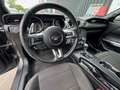 Ford Mustang Convertible V6 3,7L BVA CABRIOLET Grau - thumbnail 16