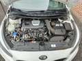 Kia ProCeed / pro_cee'd pro Ceed 1.6 T-GDI GT-Challenge Blanc - thumbnail 18